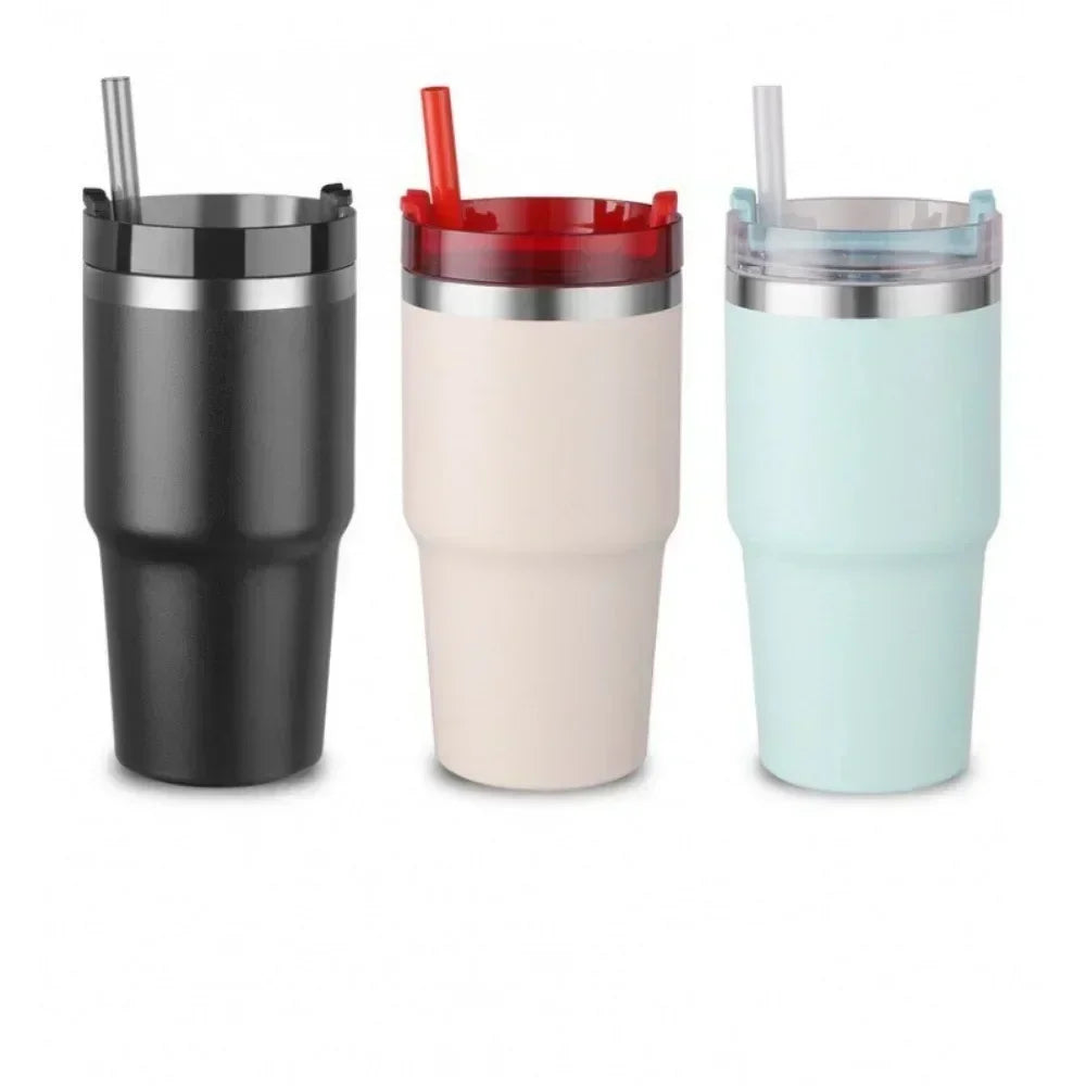 Stainless Steel Insulated Cup with Straw